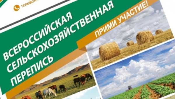 Read more about the article Госдума приняла закон о переносе Всероссийской сельскохозяйственной переписи с 2026 на 2027 год